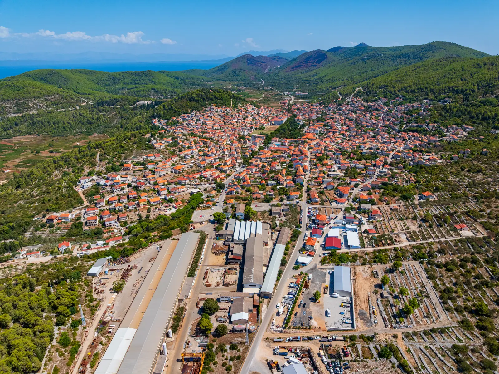 Blato iz zraka, drvored lipa